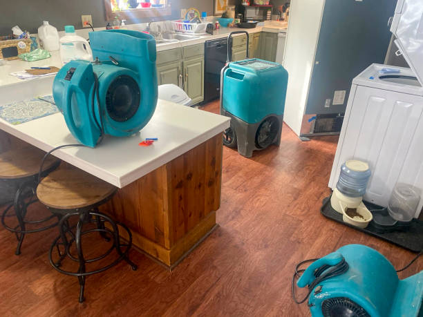 Best 24-hour water damage restoration  in Waukee, IA