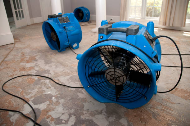 Best Water damage contractors near me  in Waukee, IA