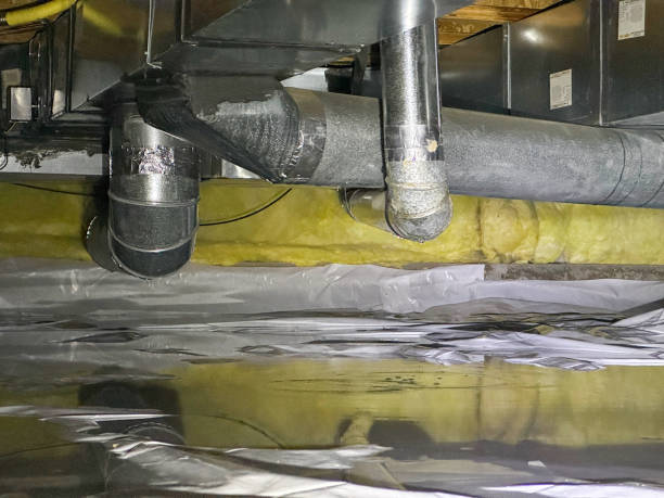 Best Water damage cleanup near me  in Waukee, IA