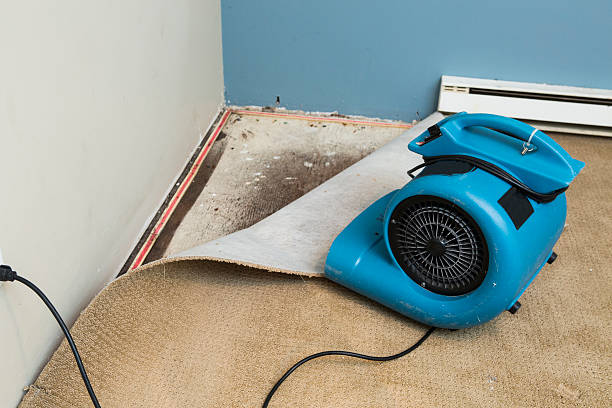 Reliable Waukee, IA Water damage restoration Solutions